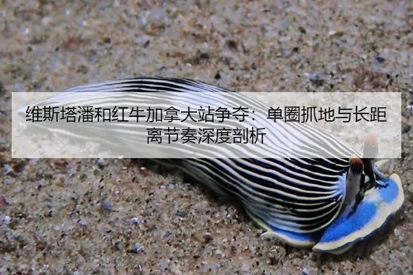 wei-si-ta-pan-he-hong-niu-jia-na-da-zhan-zheng-duo-dan-quan-zhua-di-yu-zhang-ju-li-jie-zou-shen-du-pou-xi-2-630.jpg