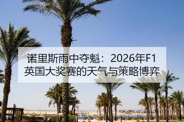 诺里斯雨中夺魁：2026年F1英国大奖赛的天气与策略博弈